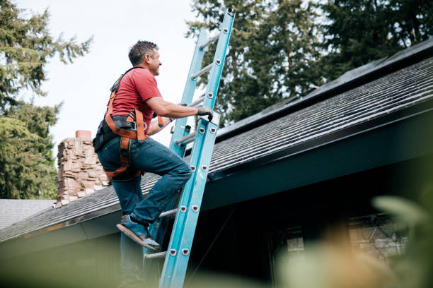 Best Roof Insulation Installation  in Wadley, GA